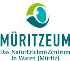 Kooperationspartner der Europäischen Akademie